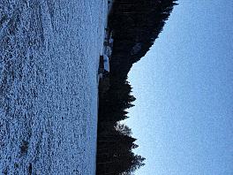 s10 36311
